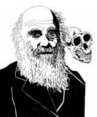 Darwin - návrh na kalendář
